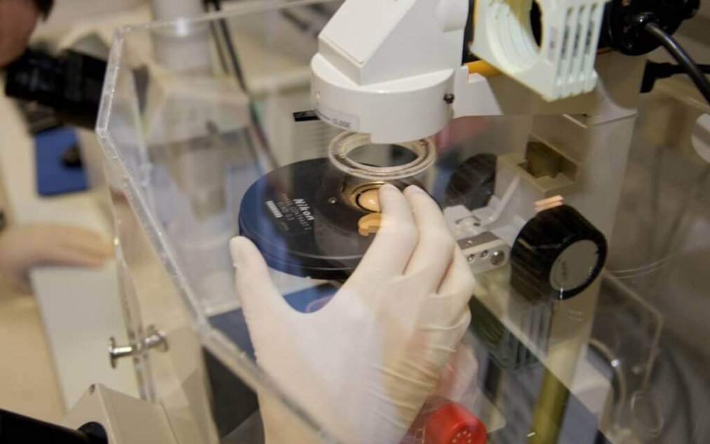 FWF Der Wissenschaftsfonds