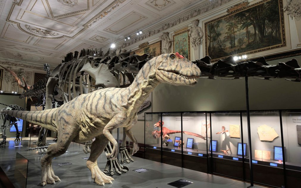 Naturhistorisches Museum Wien