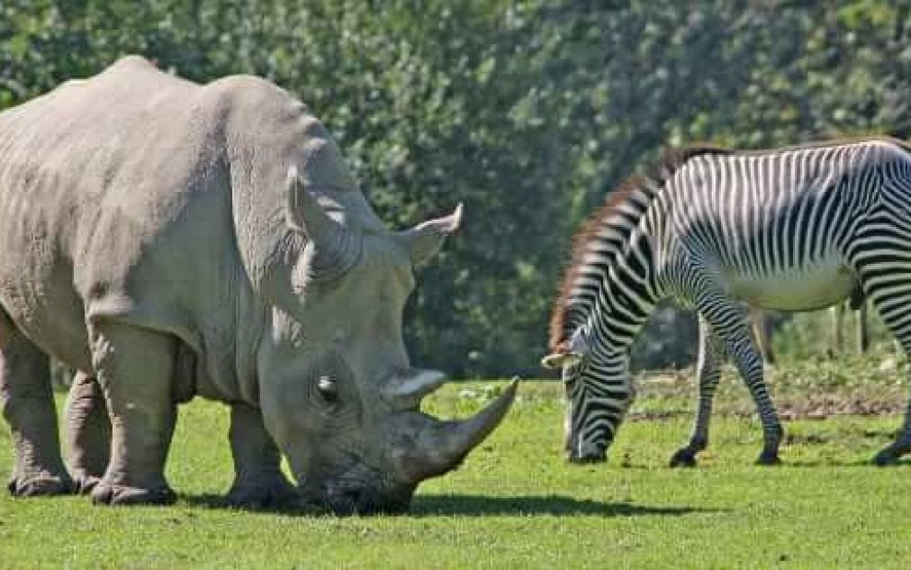 Zoo Salzburg